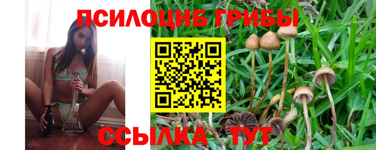 Псилоцибиновые грибы ЛСД  Вход с VPN  где купить наркотик  Псилоцибиновые грибы мицелий  Кинель 